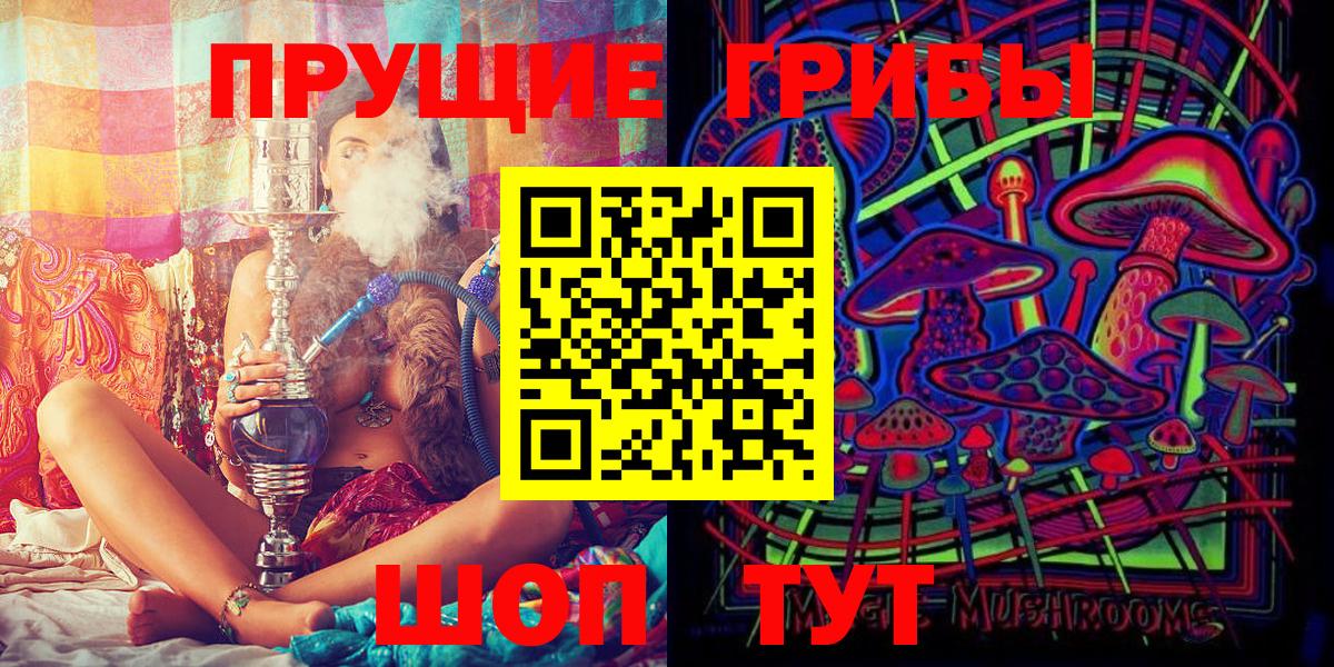 Псилоцибиновые грибы MAGIC MUSHROOMS  купить наркотики сайты  Галлюциногенные грибы Psilocybine cubensis  Чита  Вход с VPN 